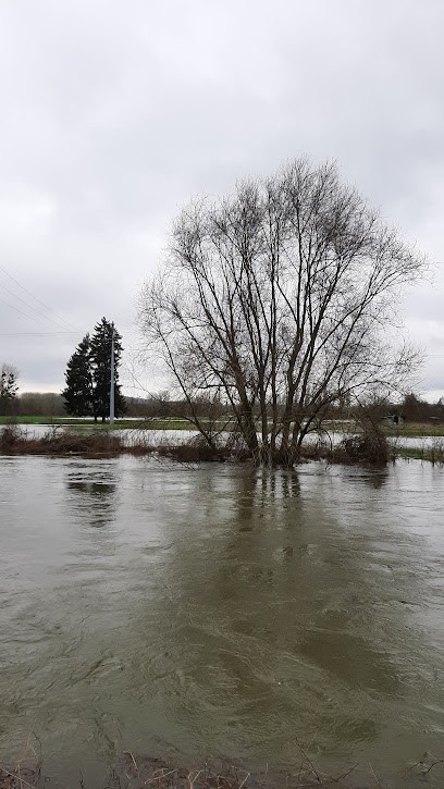 Boulangerie Le Fournil de Cindy et Alain, Boulangerie au Plessis-Brion