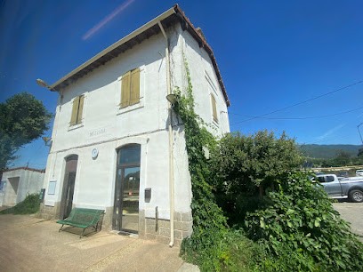 Mezzana Pain Chaud, Boulangerie à Sarrola-Carcopino