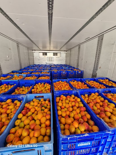 Biscuiterie Pitot, Pâtisserie à Tain-l'Hermitage