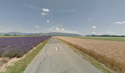 Toche Robert, Boulangerie à Puimoisson