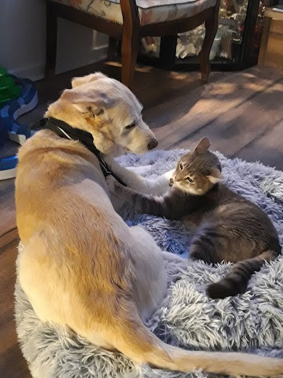 Barbey Villette Valerie Colette, Pâtisserie à Langogne