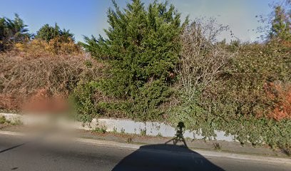 Moreau, Boulangerie à Pouillé