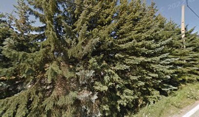 Tarte Epi d'Or, Pâtisserie à Saint-Bonnet-en-Champsaur