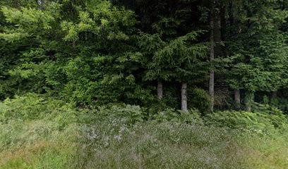 La Patisserie Le Fraisier Viennoiserie, Boulangerie  