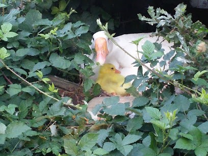 Les Pains De Lissou - Boulangerie, Boulangerie à Parisot