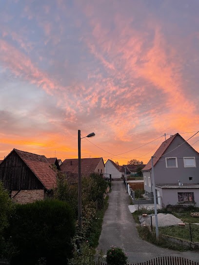 Clauss Yann Pâtissier Traiteur Boulanger, Boulangerie à Surbourg