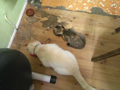 Roustain Michel, Boulangerie à Portes-lès-Valence