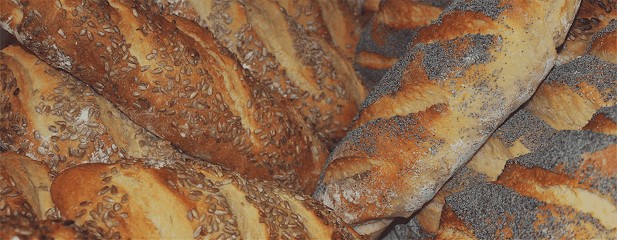 La Grange à Louis, Boulangerie à La Terrasse