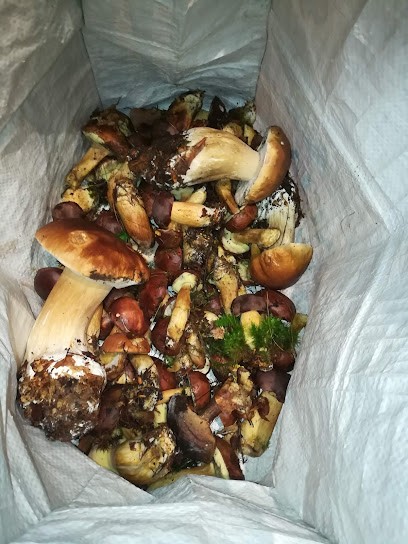 Foucher Yann Yann, Boulangerie à Moux-en-Morvan