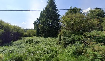 Combot Jean-François, Boulangerie à Paimpont