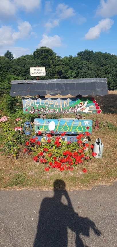 Co Pain Gallo Pain, Boulangerie à Val d'Oust