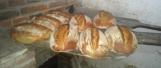 PAIN PIRATE (au Levain Naturel), Boulangerie à Liomer