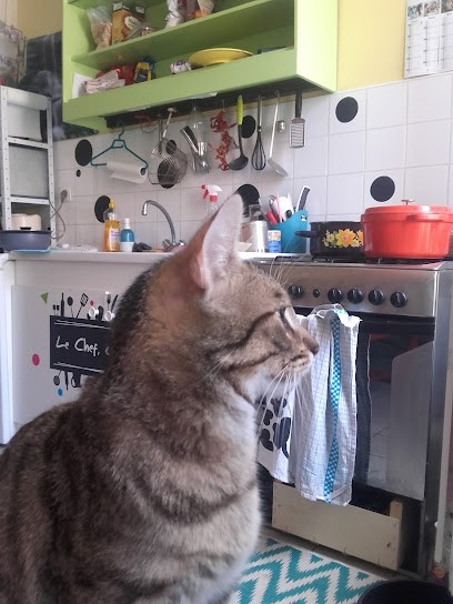 Laplace Alain et Nathalie, Boulangerie à Essoyes