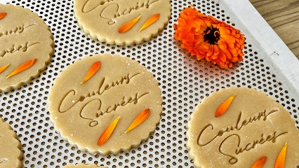 Couleurs Sucrées, Pâtisserie à Montagny-les-Lanches