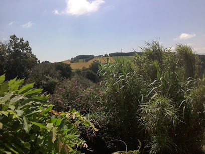 La Martrinole Sarl, Pâtisserie à Martrin