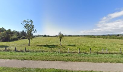 Néault Emmanuel, Pâtisserie à Montagny-lès-Beaune
