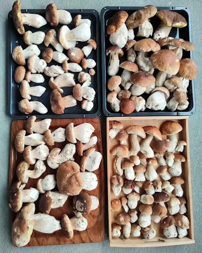 Boucher Régis, Boulangerie à La Salvetat-sur-Agout