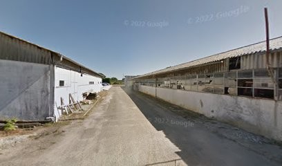 Tourtières Lafargue SARL, Pâtisserie à Saint-Loubouer