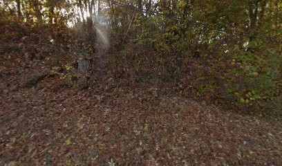 Alpine Cakes, Boulangerie à Domancy