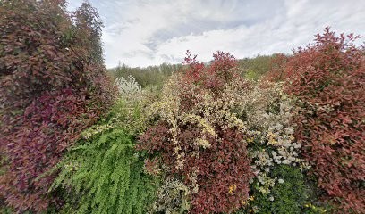 O'Délices De Céline, Boulangerie à Pommiers