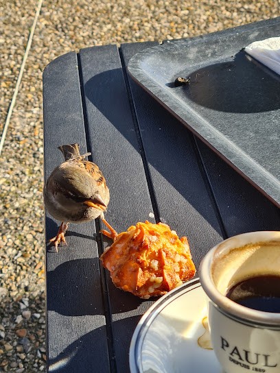 Luval Normandie - Le Petit-Quevilly, Boulangerie au Petit-Quevilly