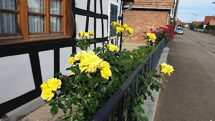 Boulangerie Nagel, Boulangerie à Walbourg